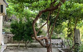 Isaraj Guest House